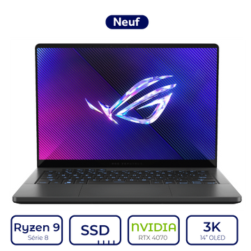 Asus ROG Zephyrus G14 403UI Q24W Ryzen 9 Série 8 RTX4070