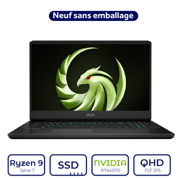 MSI ALPHA 17 C7VG Ryzen 9 Série 7 RTX 4070 8GB