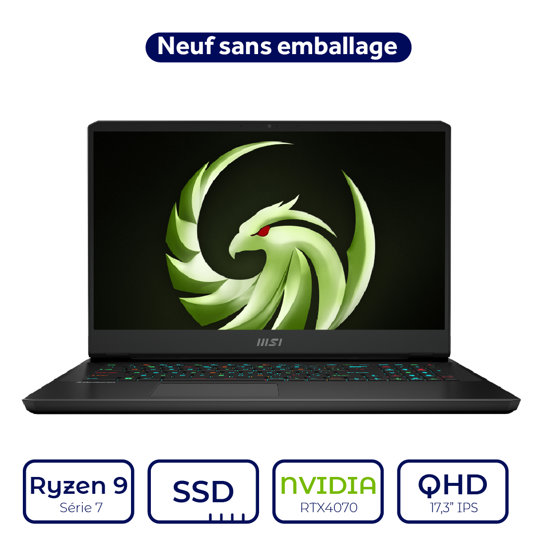 MSI ALPHA 17 C7VG Ryzen 9 Série 7 RTX 4070 8GB
