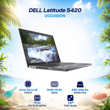 DELL Latitude 5420 Core i5 11ème Gen