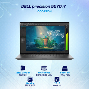MAYDAN Laptop Creative Remaining 2026-09-29 - DL5570I712NT-16S1TB