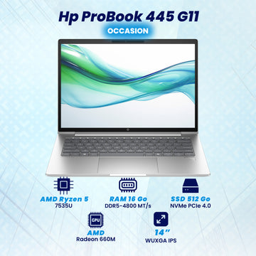 HP Probook 445 G11 Ryzen 5 7535u