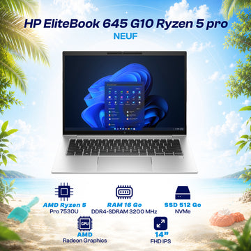 HP EliteBook 645 G10 Ryzen 5 pro