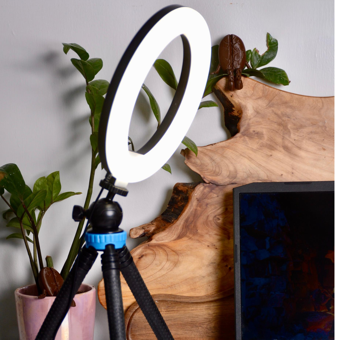 Maestro Ring portable vlogging kit-black
