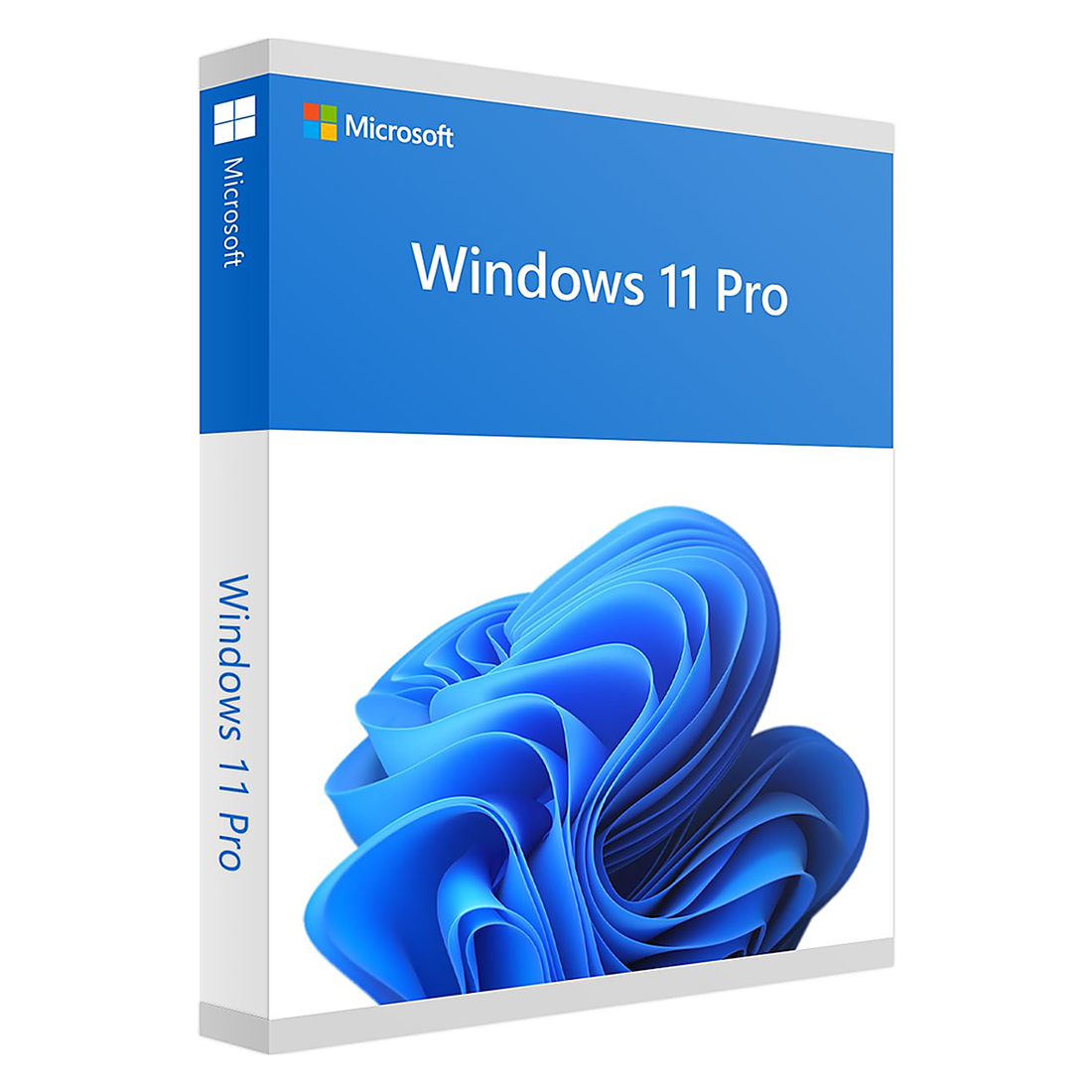 Microsoft Windows 11 Pro 64Bit Eng Intl 1pk DSP OEI DV