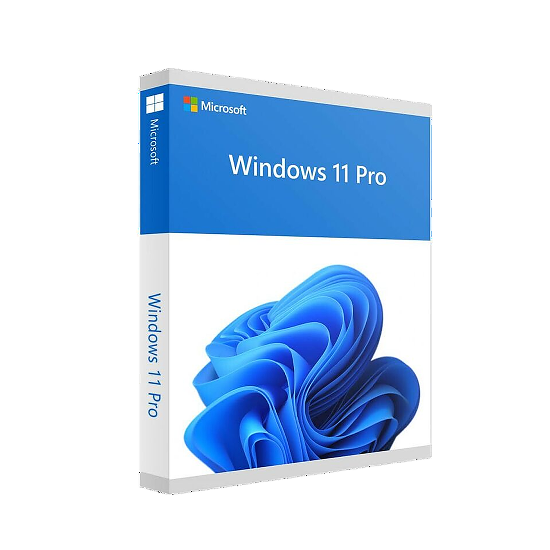 Microsoft Windows 11 Pro 64Bit French 1pk DSP OEI DVD