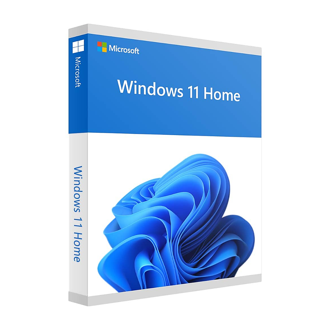 Microsoft Windows 11 Home 64Bit French 1pk DSP OEI DVD