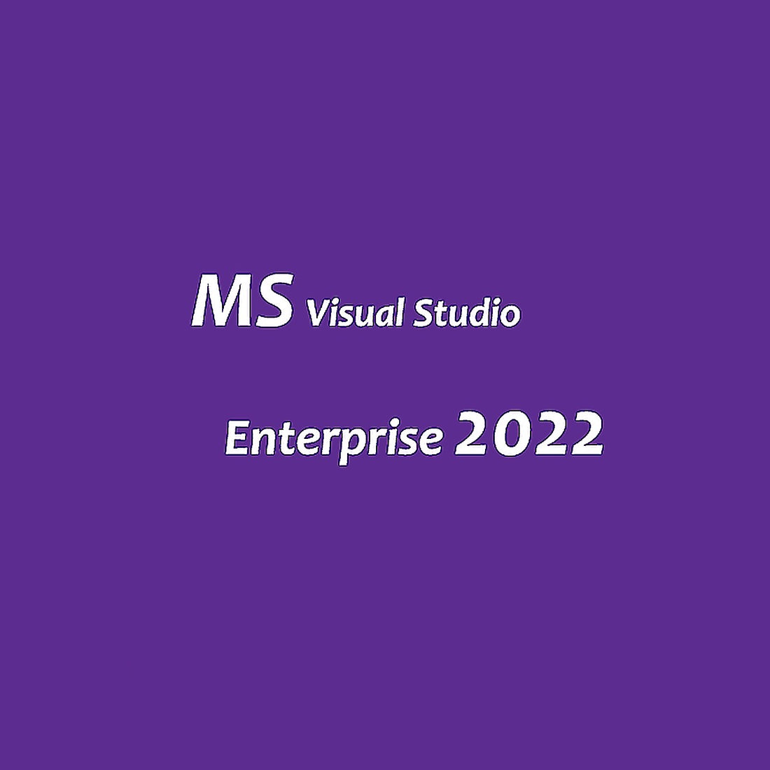 Microsoft Visual Studio 2022 Enterprise - Clés Officielles Boîte