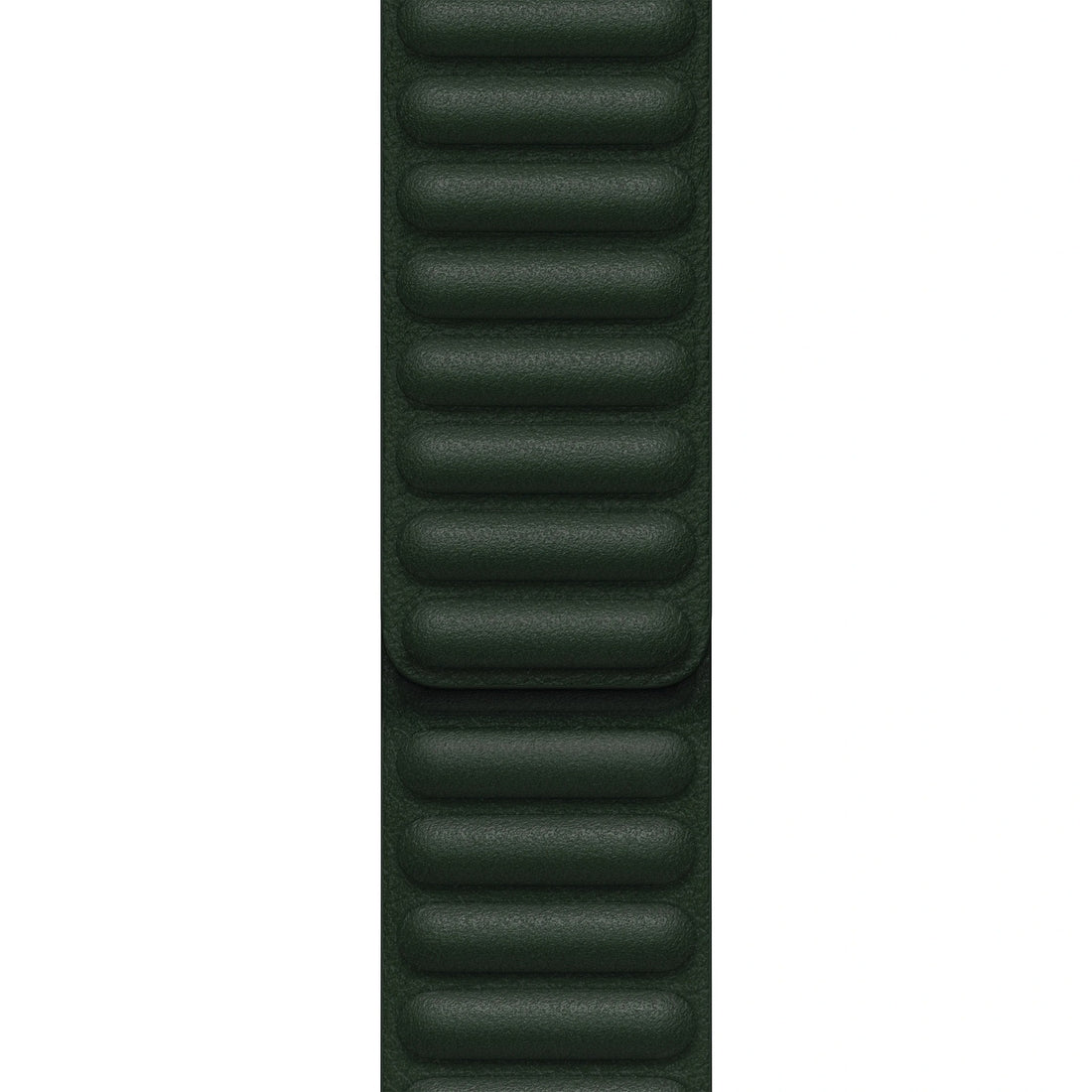 Bracelet Leather Link Apple Watch Vert Séquoia 38/40/41 mm - M/L hero - Maydan.ma
