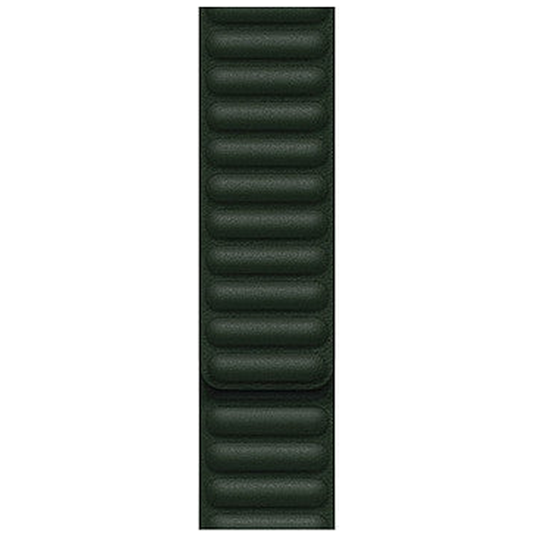 Bracelet Leather Link Apple Watch Vert Séquoia 41 mm - S/M hero - Maydan.ma