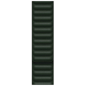 Bracelet Leather Link Apple Watch Vert Séquoia 41 mm - S/M hero - Maydan.ma