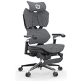 CHAISE XALLKING X5PRO-401-JT GRIS - Photo 3