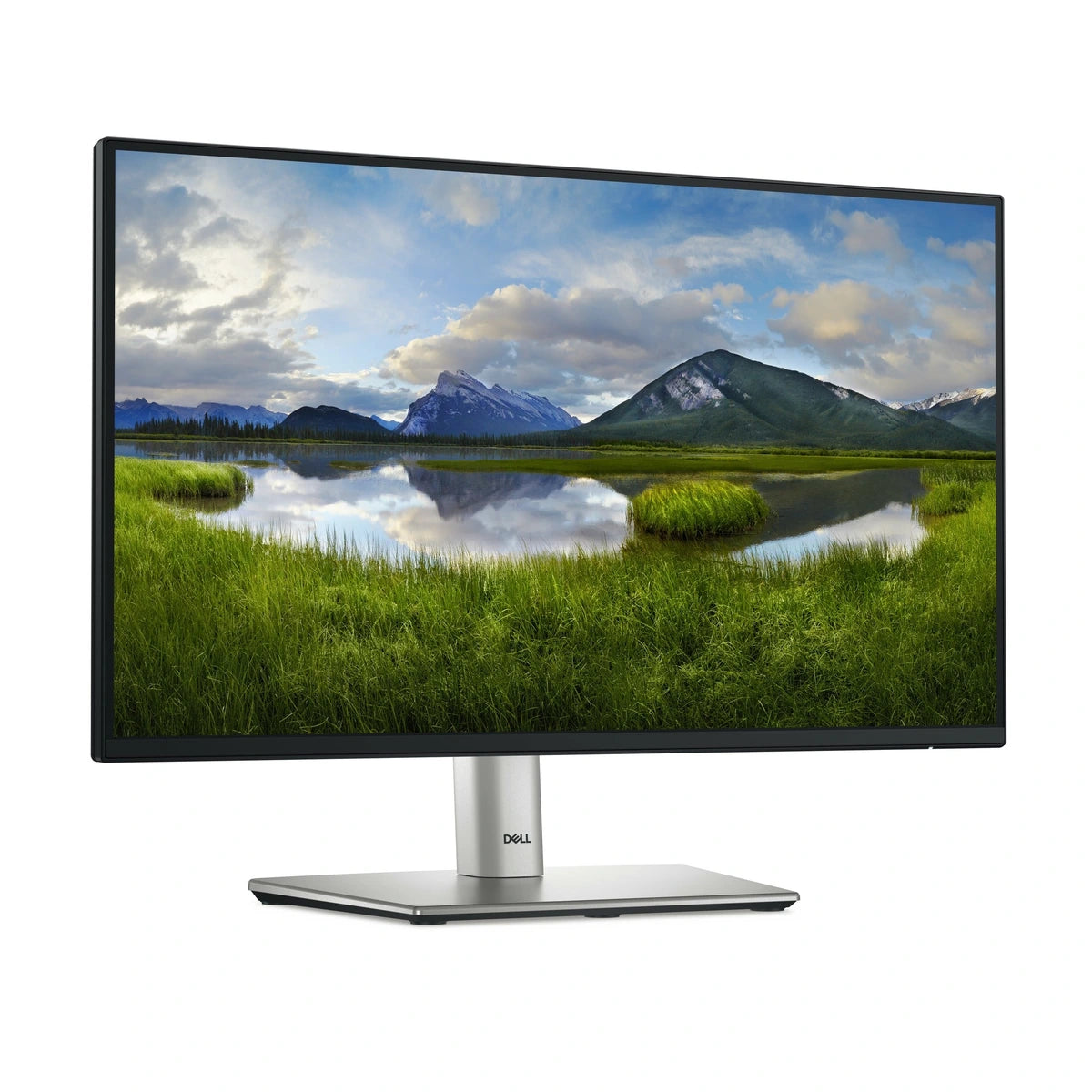 Moniteur DELL P2225H LCD 21.5" FHD VA 100Hz - vue arrière
