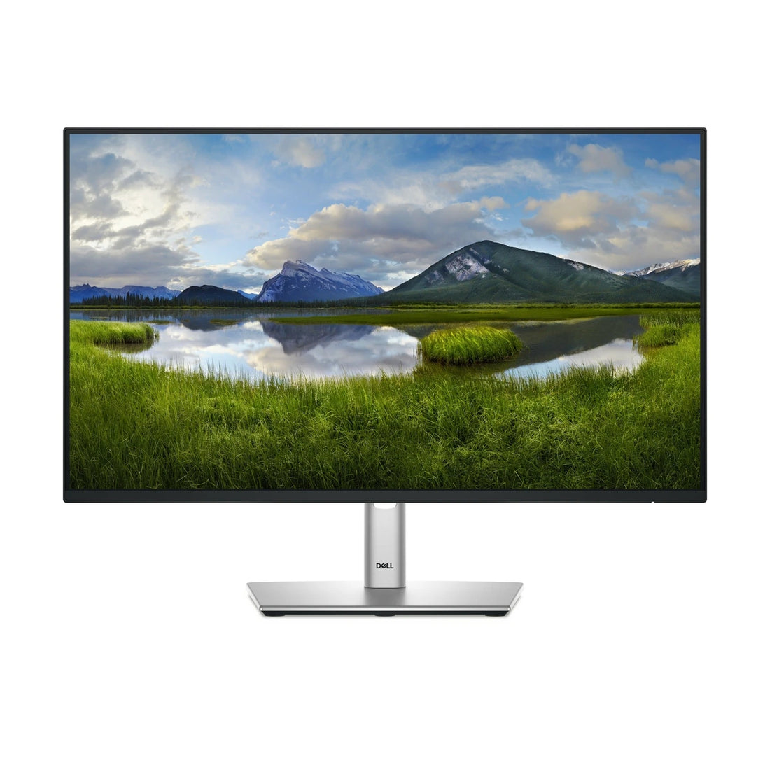 Moniteur DELL P2425H LCD 23.8" FHD VA 100Hz - vue de face