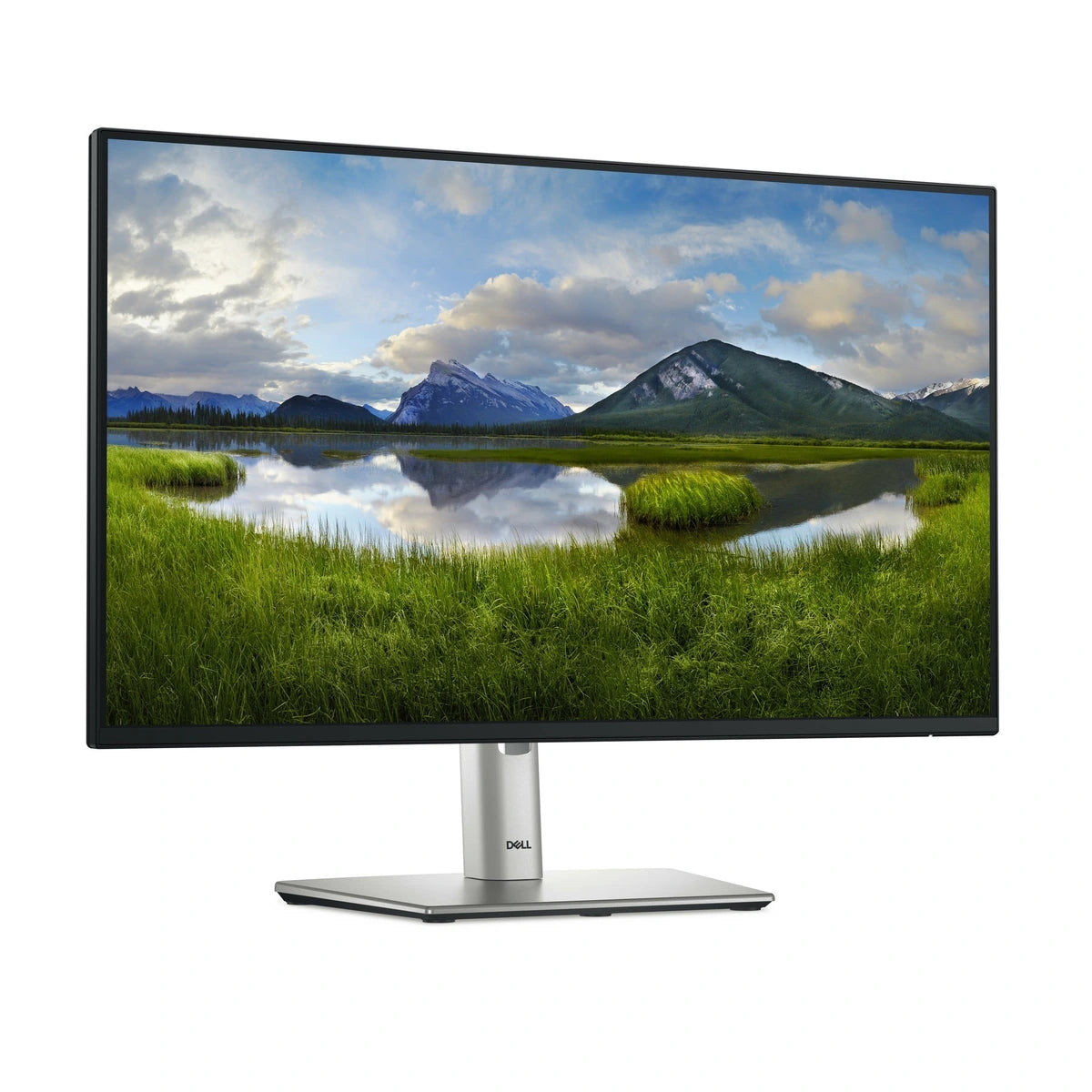 Moniteur DELL P2425H LCD 23.8" FHD VA 100Hz - vue arrière