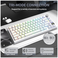 ATTACK SHARK X820 Ultra Shark Switch (White Contours)