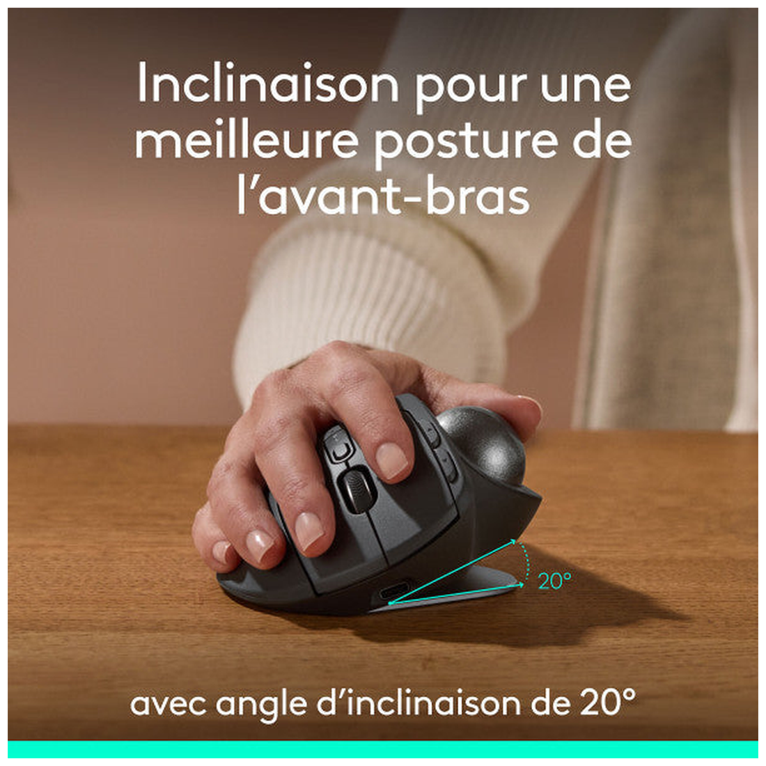 Logitech MX Ergo S