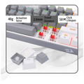 Redragon K616 Fizz PRO 60% Wireless RGB Red Switches (White/Gray)