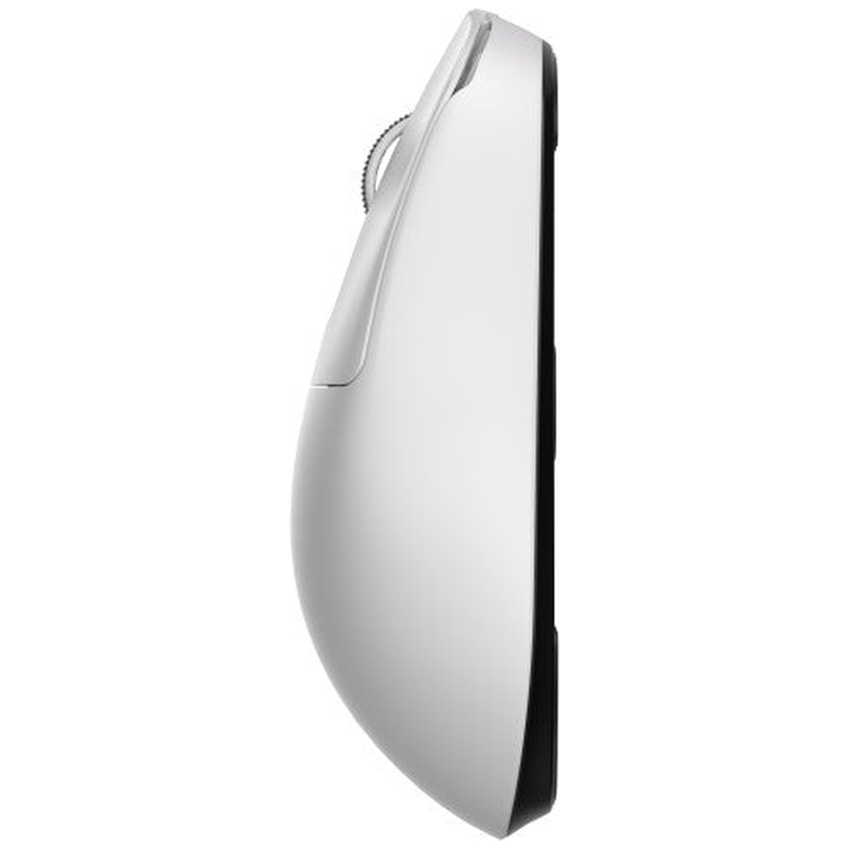 Royal Kludge M3 (White)