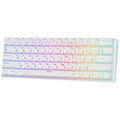 Royal Kludge RK61 White - Blue Switch (US Qwerty)