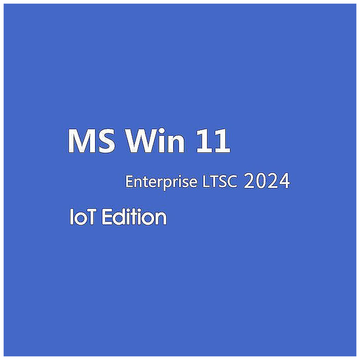 Microsoft Win 11 Enterprise LTSC 2024 IoT Edition CD Key Global - Clés Officielles Boîte