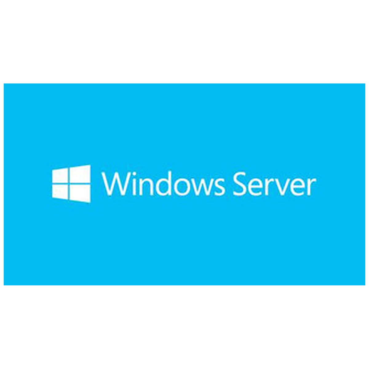 MS Windows Svr Std 2019 64Bit French 1pk DSP OEI DVD 16 Core