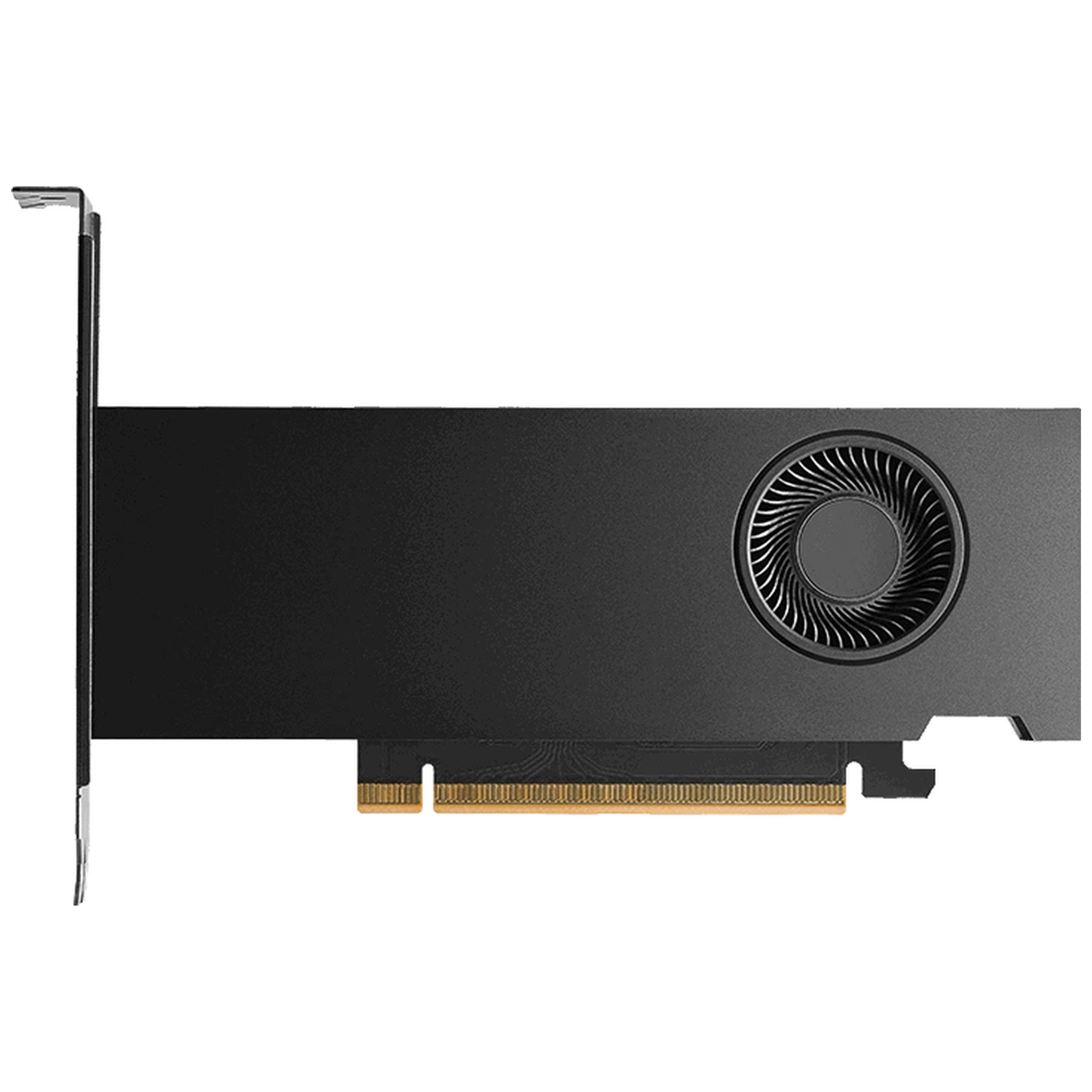 PNY Nvidia RTX Pro 2000 Blackwell Oem – image 2