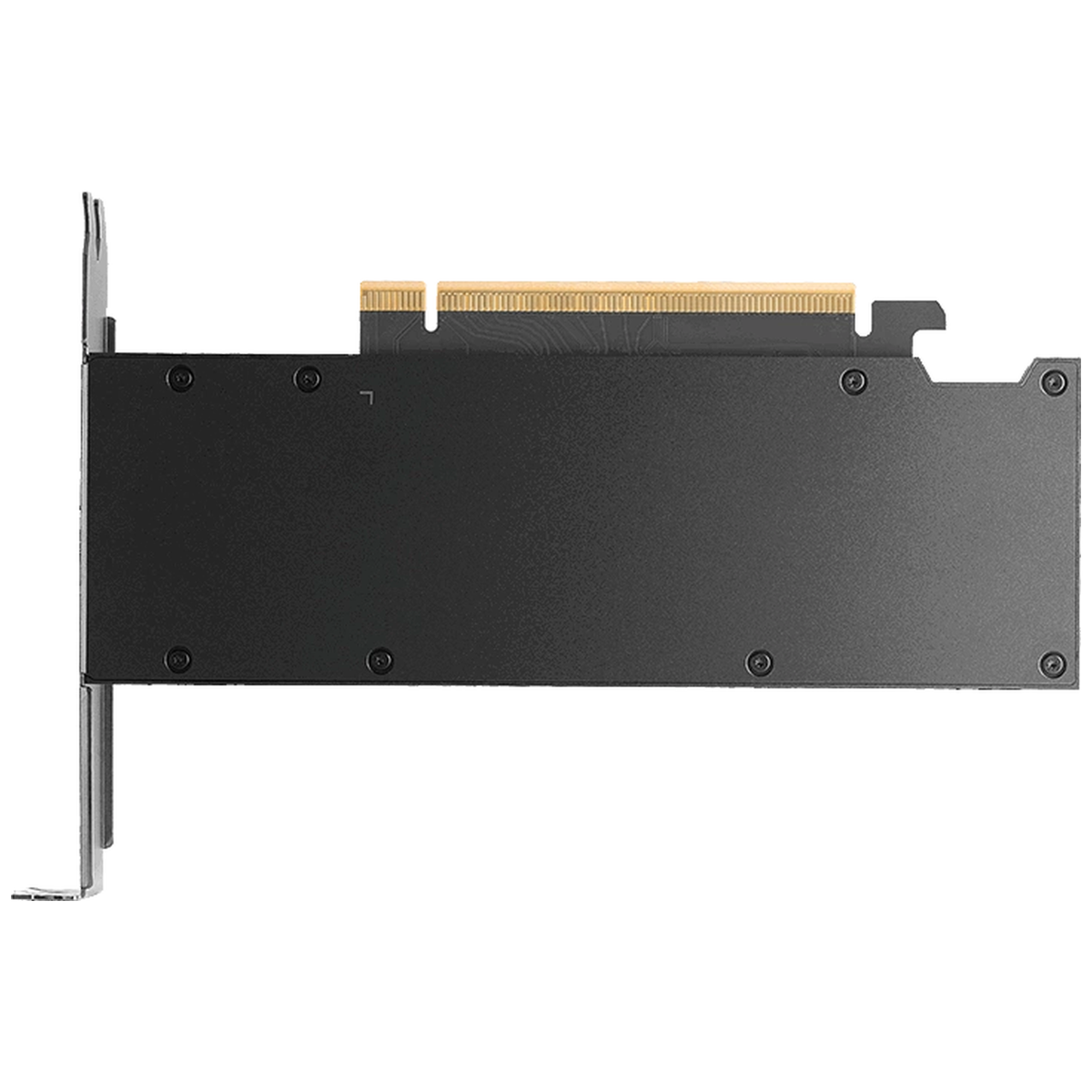 PNY Nvidia RTX Pro 2000 Blackwell Oem – image 3