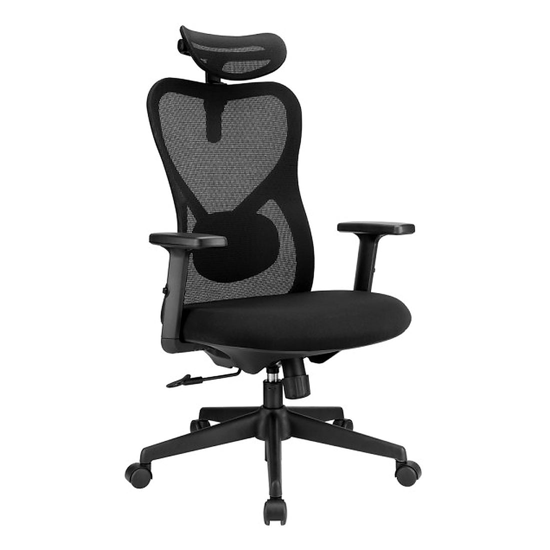 SKILLCHAIRS Ergo Alaska - Photo 1