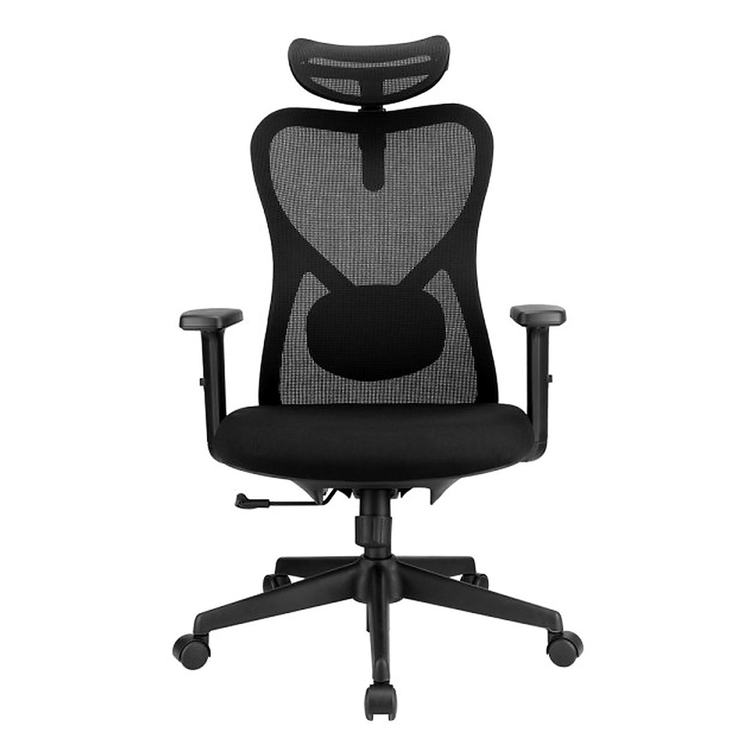SKILLCHAIRS Ergo Alaska - Photo 1