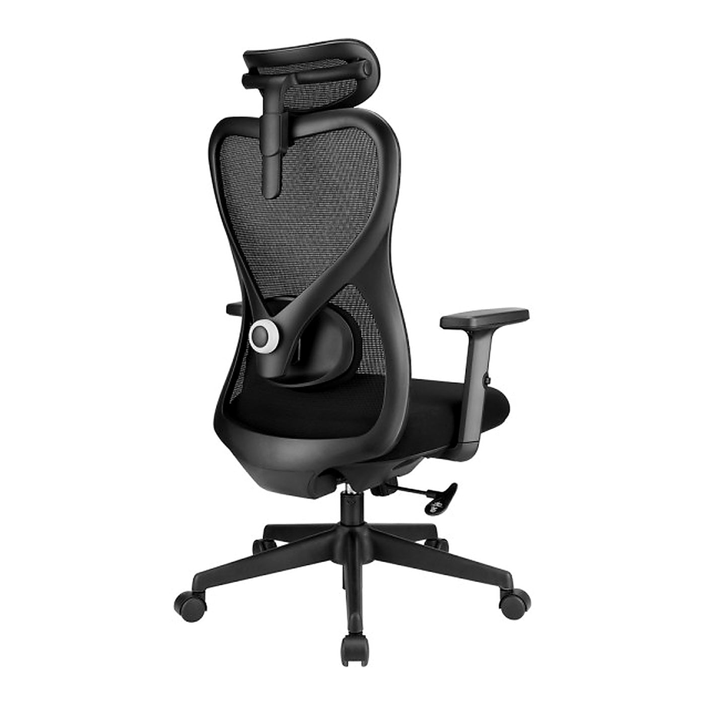 SKILLCHAIRS Ergo Alaska - Photo 4