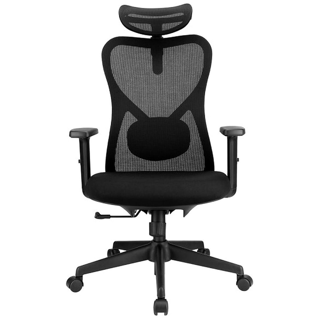 SKILLCHAIRS Ergo Alaska - Photo 1