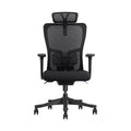 SKILLCHAIRS Ergo Apricity - Photo 2