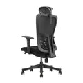 SKILLCHAIRS Ergo Apricity - Photo 4