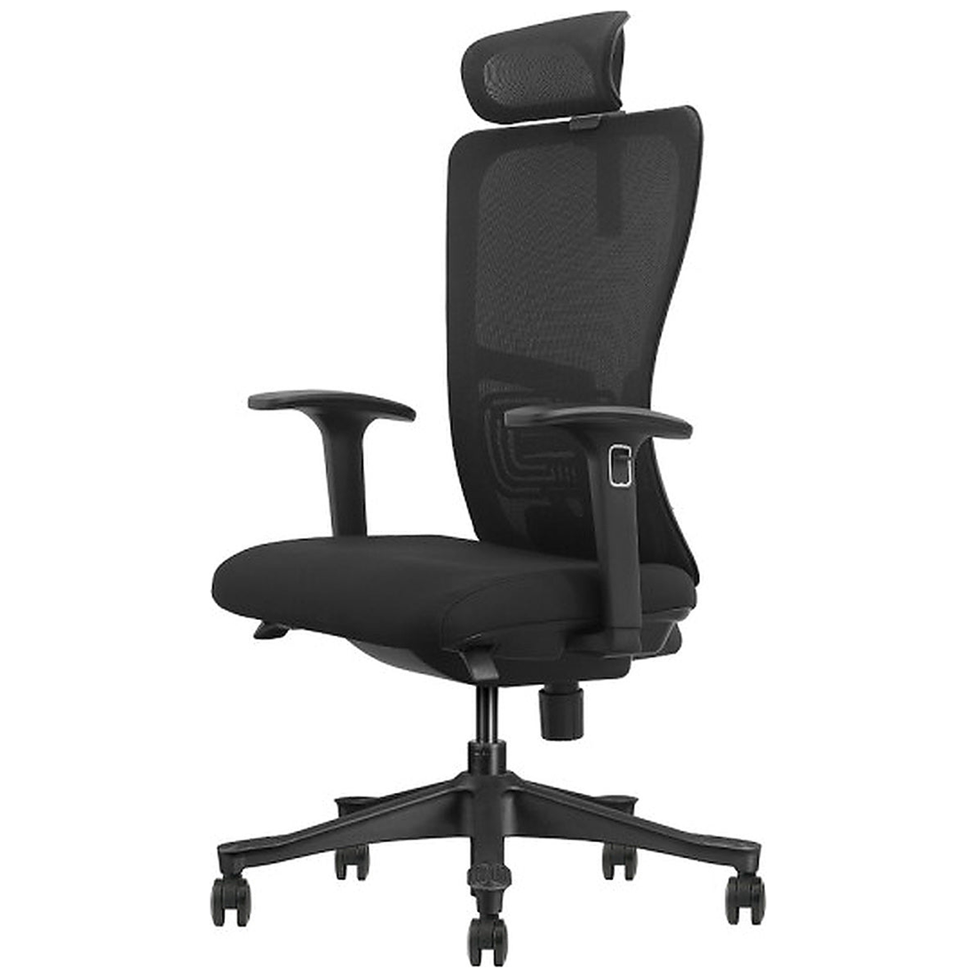 SKILLCHAIRS Ergo Apricity - Photo 1