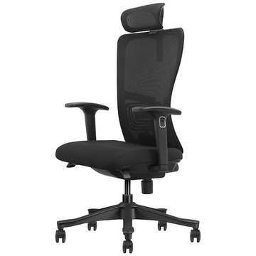 SKILLCHAIRS Ergo Apricity - Photo 1