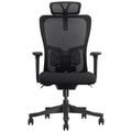 SKILLCHAIRS Ergo Apricity - Photo 2