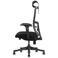 SKILLCHAIRS Ergo Apricity - Photo 3