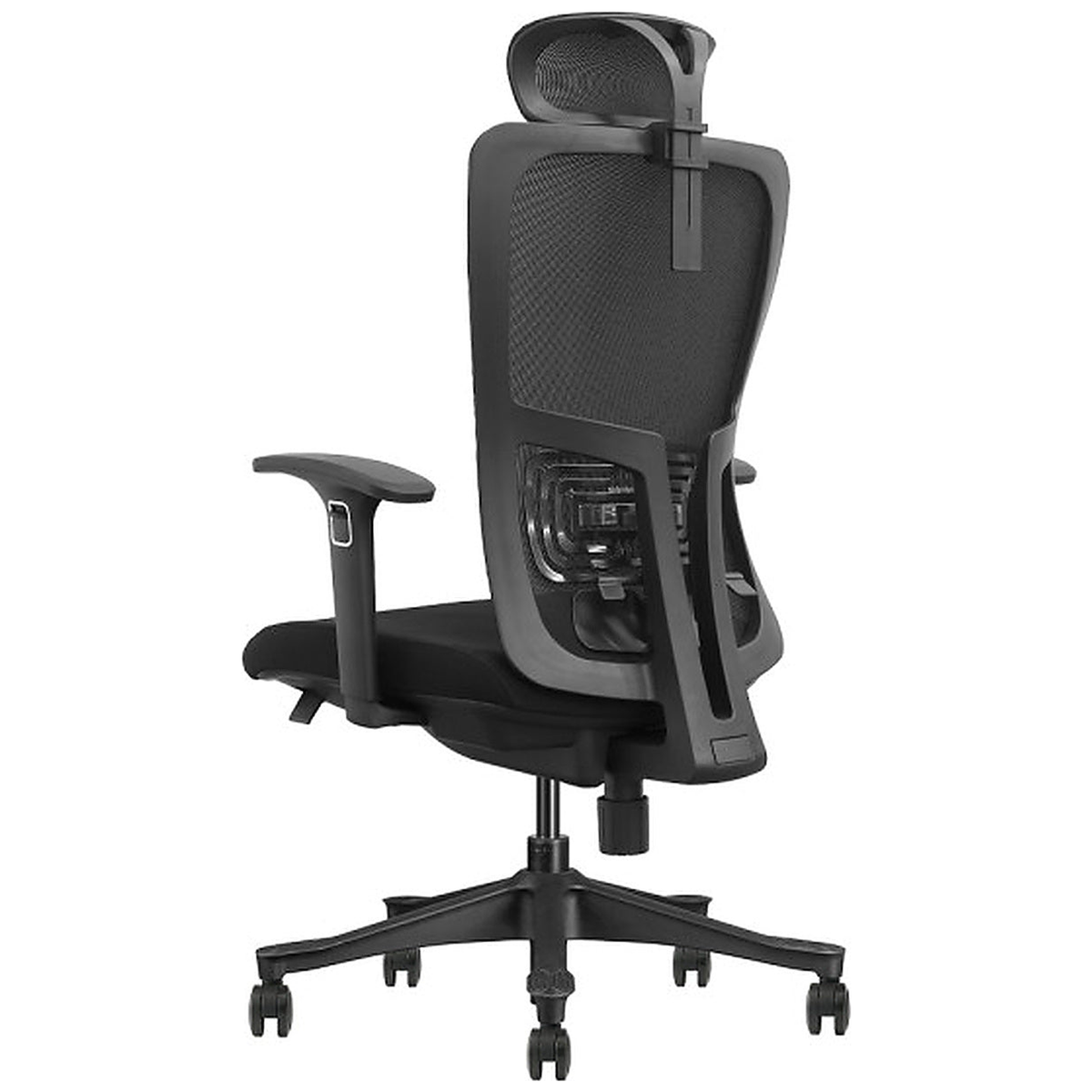 SKILLCHAIRS Ergo Apricity - Photo 4