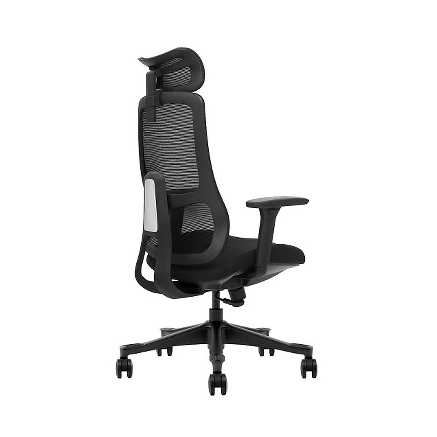 SKILLCHAIRS Ergo Argyros - Photo 4