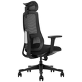 SKILLCHAIRS Ergo Argyros - Photo 4