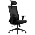 SKILLCHAIRS Ergo Aria (Black) - Photo 1