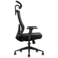 SKILLCHAIRS Ergo Aria (Black) - Photo 3