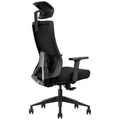 SKILLCHAIRS Ergo Aria (Black) - Photo 4