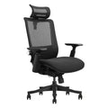 SKILLCHAIRS Ergo Aurora - Photo 1