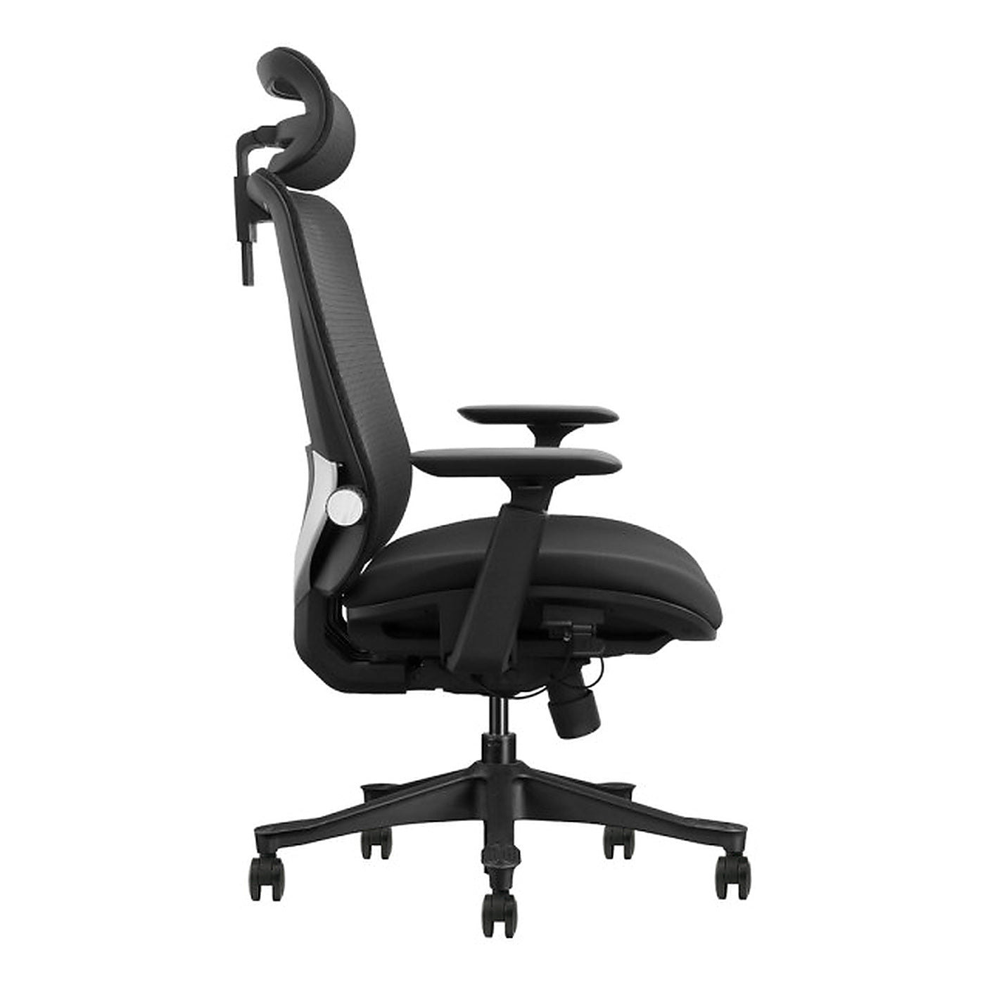 SKILLCHAIRS Ergo Aurora - Photo 3