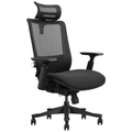 SKILLCHAIRS Ergo Aurora - Photo 1