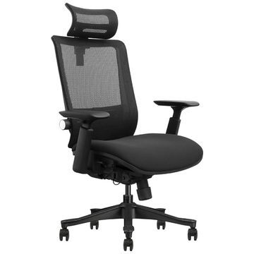SKILLCHAIRS Ergo Aurora - Photo 1