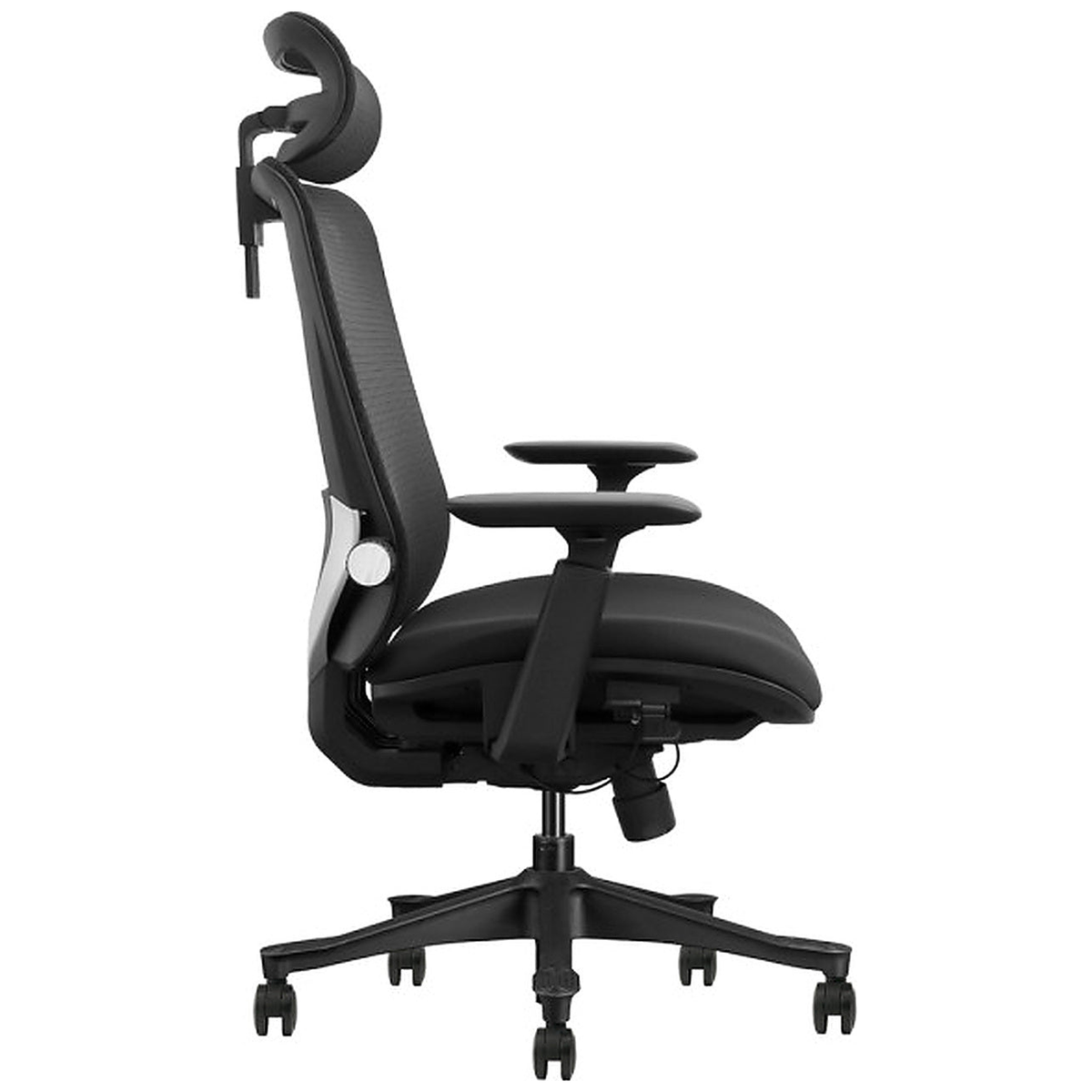 SKILLCHAIRS Ergo Aurora - Photo 3
