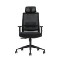 SKILLCHAIRS Ergo Cielo - Photo 2